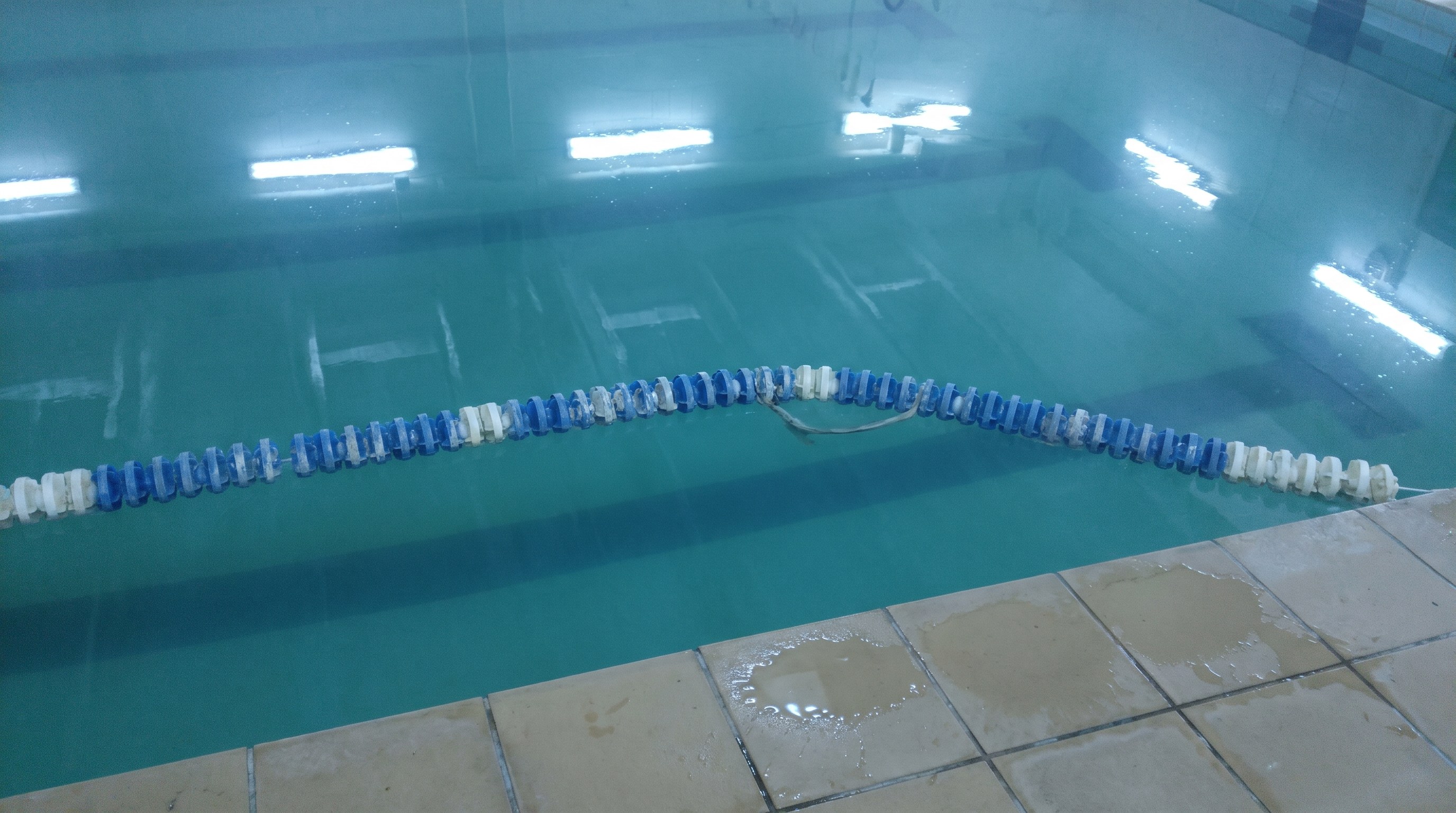 The still surface of an old indoor lap pool with a faded sagging lane rope, used for easy days once leg workouts come out